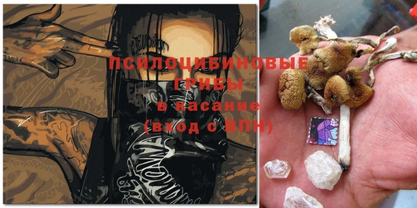 трава Абдулино