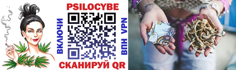 где можно купить   Старая Купавна  Галлюциногенные грибы мухоморы 
